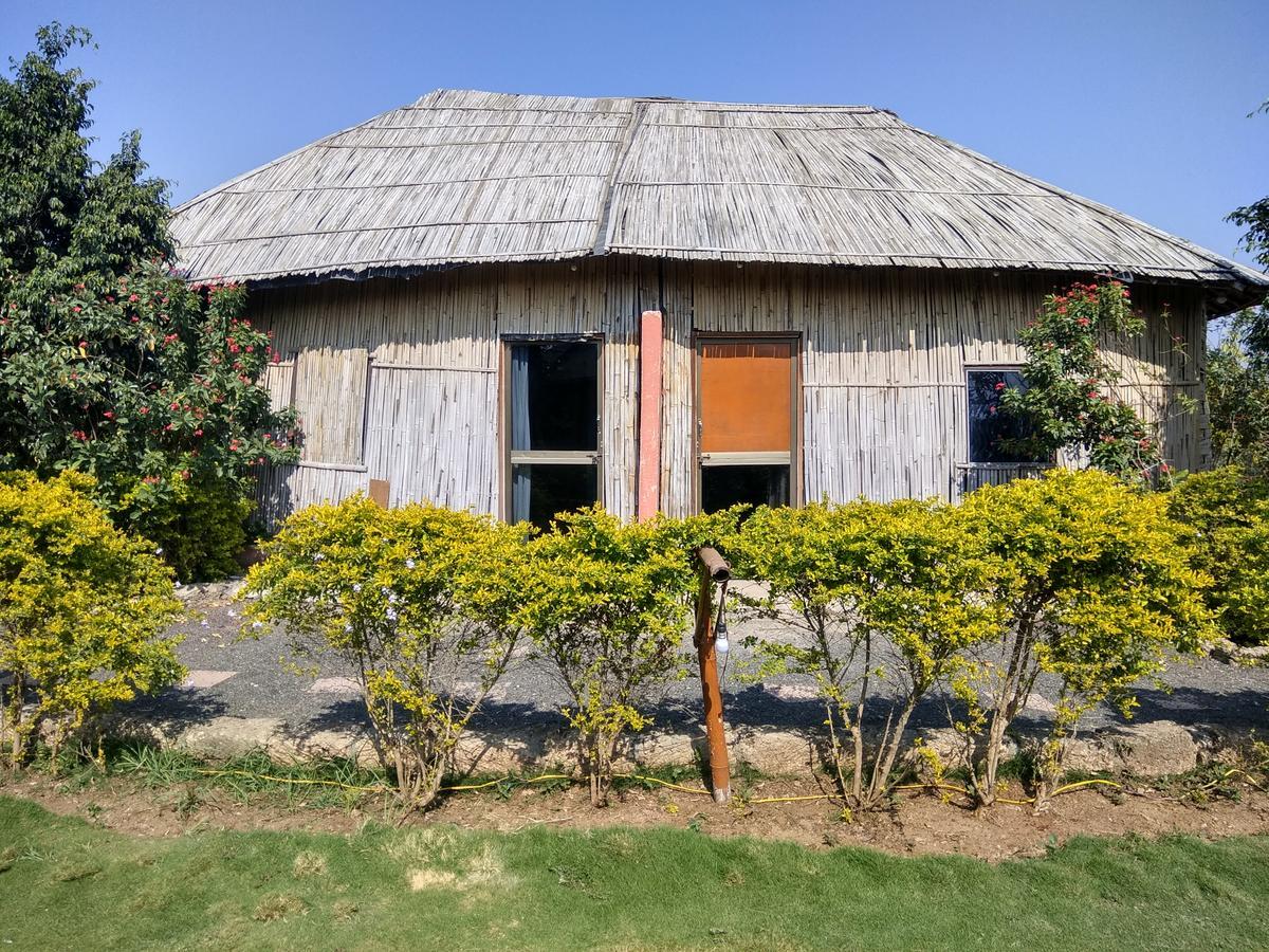 The Hillview Camp Resort Sasan Gir Zewnętrze zdjęcie